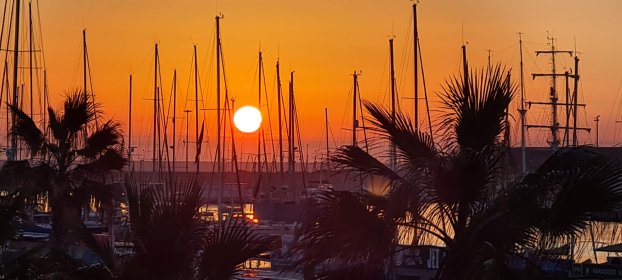 Photo of Mare Iwff (Muestra De Artistas Y Realizadoras En Español) International Women’s Film Festival