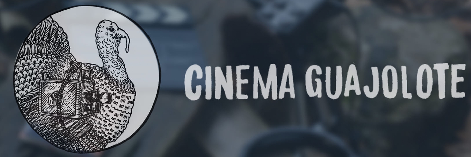 Banner 5to. Festival de Cine Internacional de Cinema Guajolote