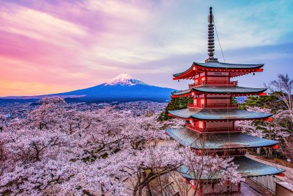 Photo of Japan International Film Festival