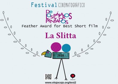 Photo of Festival Internacional de cine de los pájaros pintados