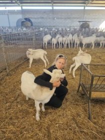 Photo of Premios Salvapastores