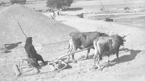 Photo of INMATERIALIA FILM FEST