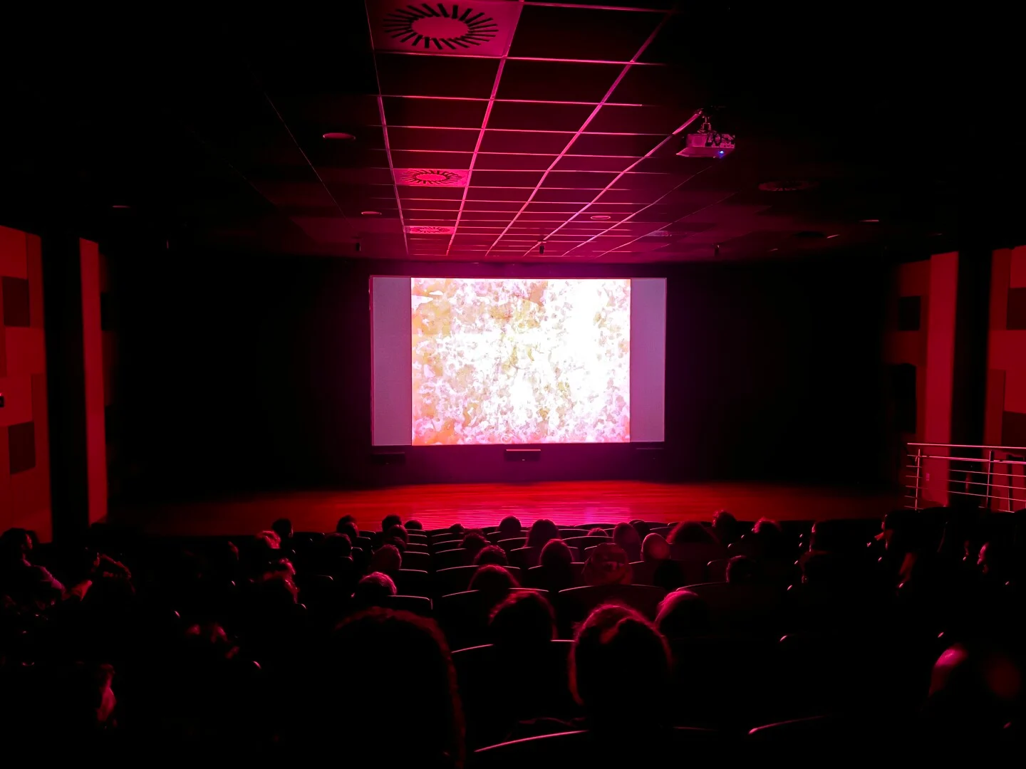 Photo of Inflamável - Super 8 e 16mm film festival