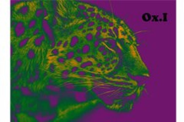 Logo of OXSI Independent Film Festival city of Oaxaca of Juarez 