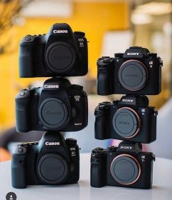 Photo of Certamen FyC