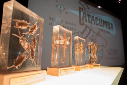 Photo of Catacumba Film Festival