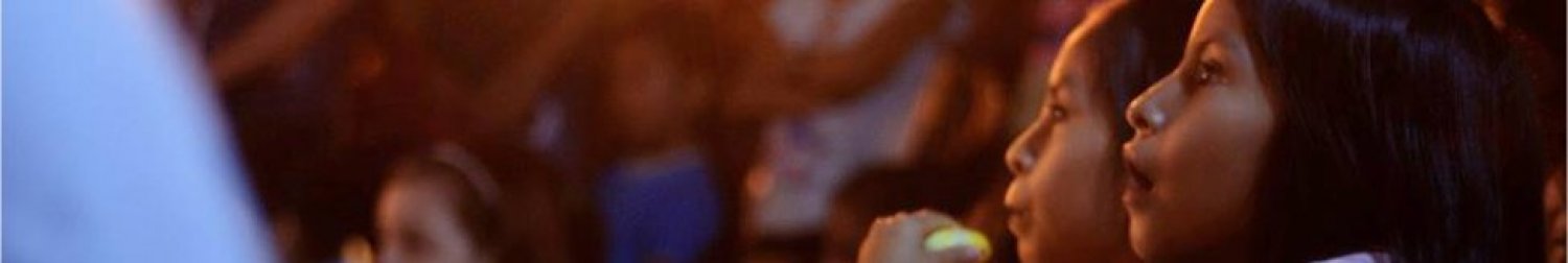 Banner Sembrando Cine Brasil