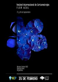 Photo of Festival Internacional De Cortometrajes Flor Azul