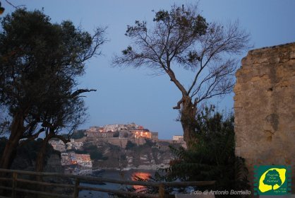 Photo of Procida Film Festival 2018