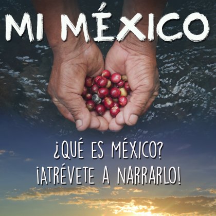 Logo of My Mexico