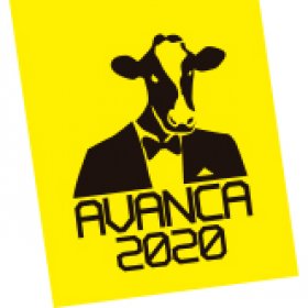 Logo of AVANCA 2020 International Meeting of Cinema, TV, Video and Multimedia