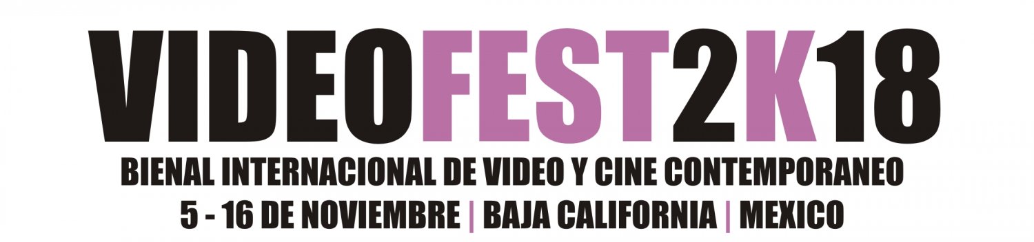 Banner Bienal Internacional de Video y Cine VIDEOFEST