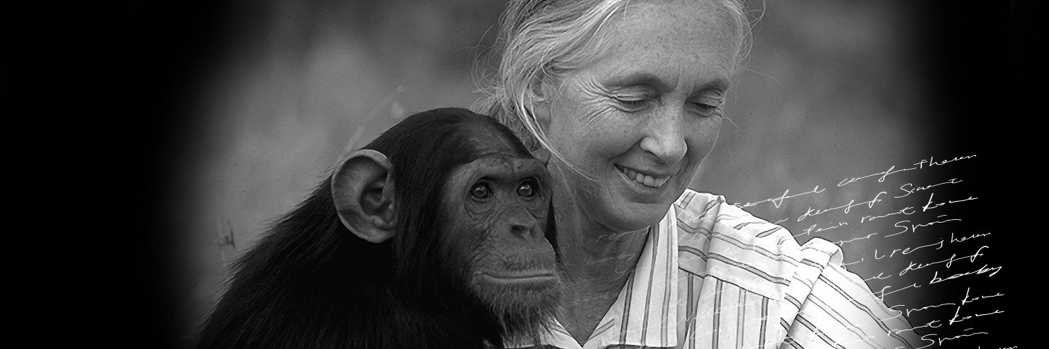 Banner MOVIELETTERS 2016 - Short films inspired by Dr. Jane Goodall’s letter.