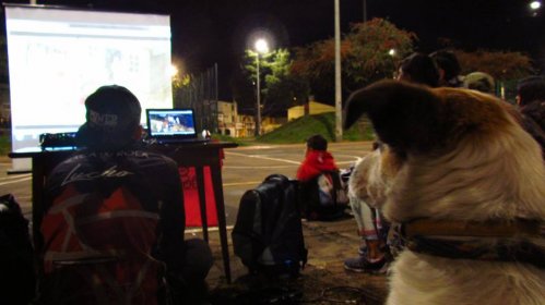 Photo of  CINE ANIMAL FEST