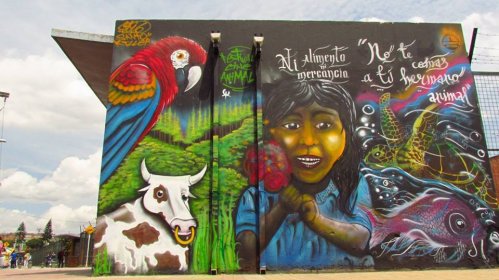 Photo of  CINE ANIMAL FEST