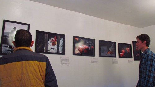 Photo of  CINE ANIMAL FEST