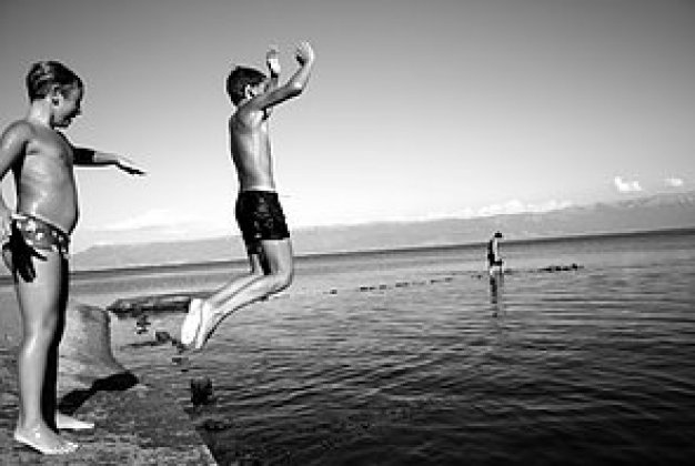 Logo of 3Little Wolves Film Festival