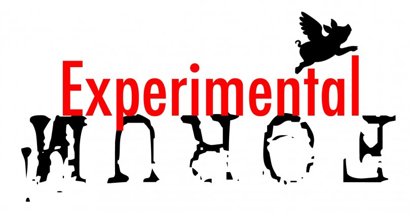 Logo of Experimental Forum