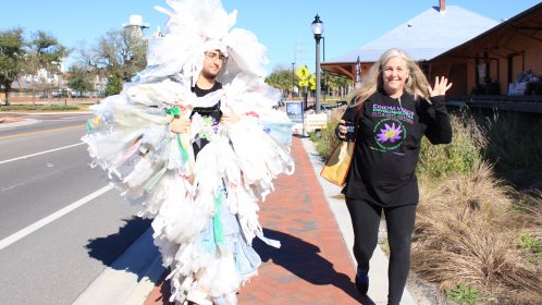 Photo of Cinema Verde Environmental Film & Arts Festival