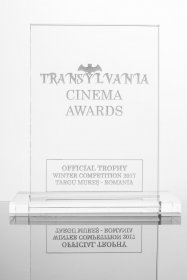 Photo of Transylvania Cinema Awards
