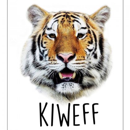 Logo of Kolkata International Wildlife & Environment Film Festival