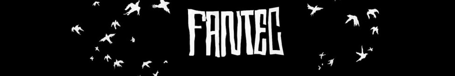 Banner FANTEC Festival internacional Fantástico y Terror Cinematografico