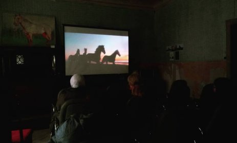 Photo of Equinale Horse Film Festival