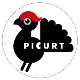 Logo of PICURT - Film of the Pyrenees mountains