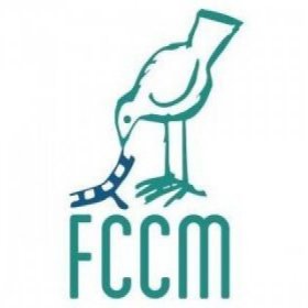 Logo of CAJÓN DEL MAIPO FILM FESTIVAL