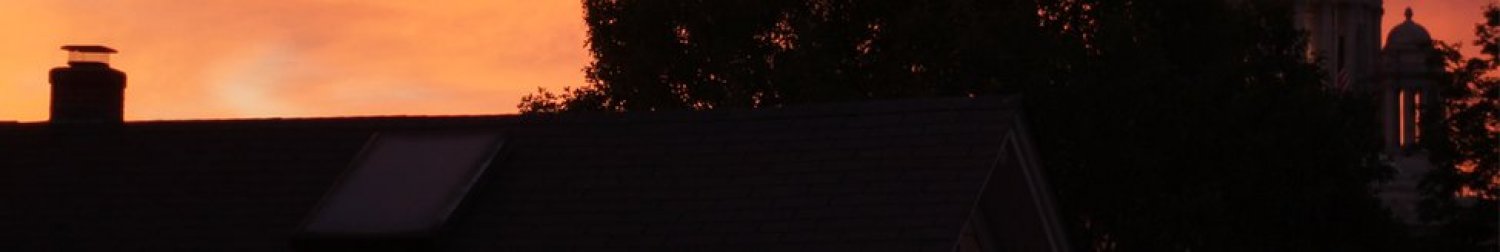 Banner 401 Film Fest