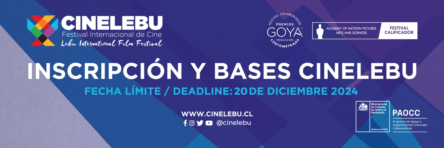 Banner Festival Internacional De Cine De Lebu 25