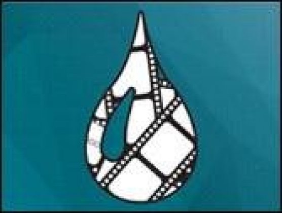 Logo of Mequinensa International Film Festival