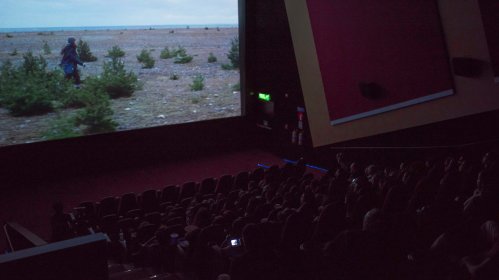Photo of Festival Internacional De Cine De Cali 2020 - Ficcali