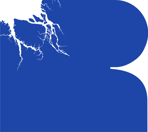 Logo of `Raíces´ Chivilcoy  Internacional Film Fest