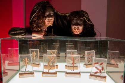 Photo of LO QUE MOLA ES EL STOP MOTION