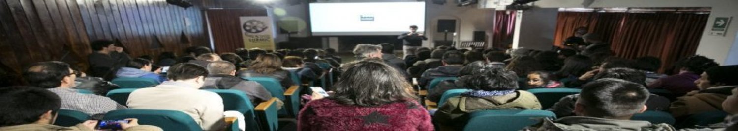 Banner Muestra internacional de cine SURMIC