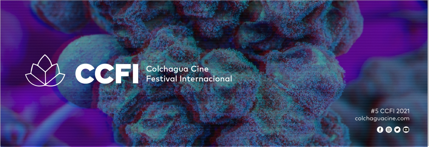 Banner Festival Internacional Colchagua Cine