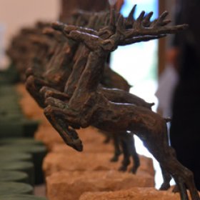 Photo of International Nature Film Festival Gödöllő