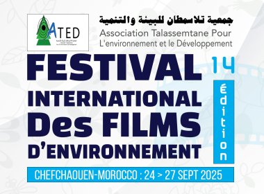 Logo of International festival of environmental films