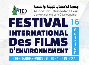 Logo of International festival of environmental films