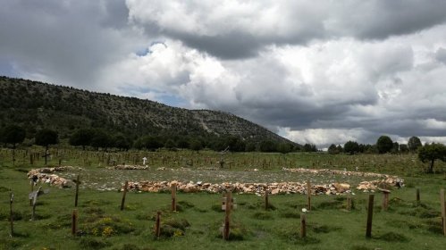 Photo of Sección Western - Certamen De Cine Corto De Salas De Los Infantes