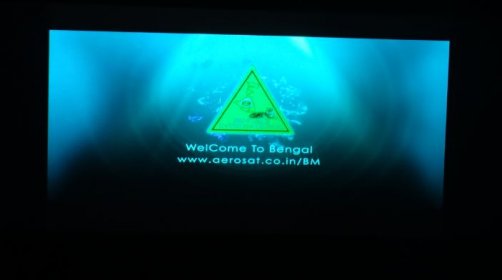 Photo of Bengals International