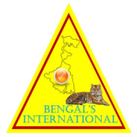 Logo of Bengals International