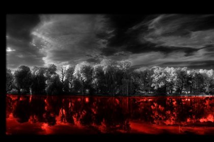 Photo of Bloodpool Film Festival