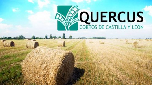 Photo of Proyecto Quercus - Cortos de Castilla y León