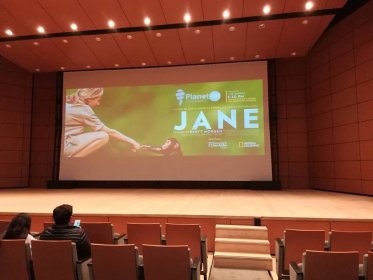 Photo of Planet On - Festival Internacional de Cine Ambiental
