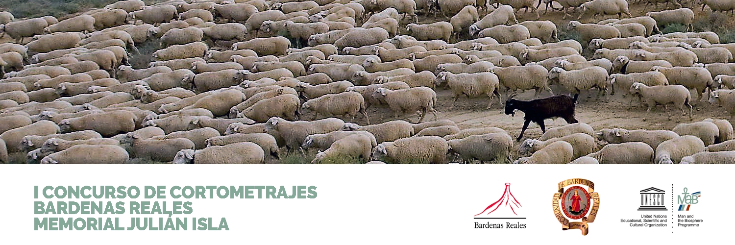 Banner Concurso de Cortometrajes Bardenas Reales - Memorial Julián Isla
