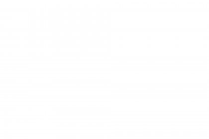 Logo of The Borehamwood international Film Festival