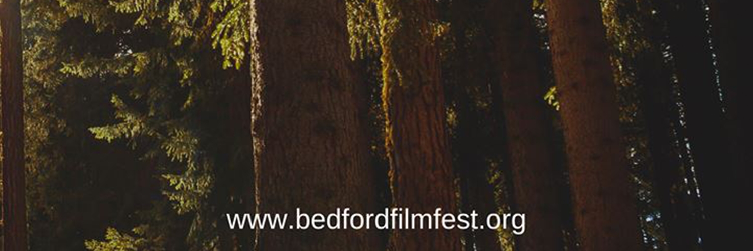 Banner Bedford International Film Festival