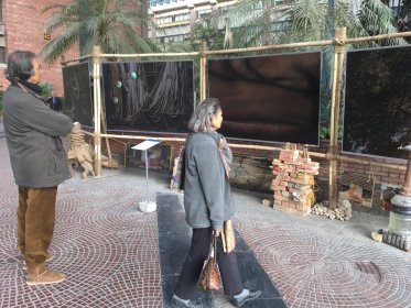 Photo of Sustainable Development Film Festival